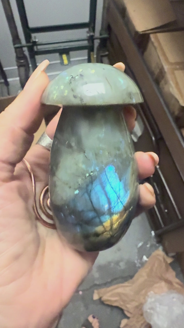 Labradorite Cosmic Mushroom ~ 4"