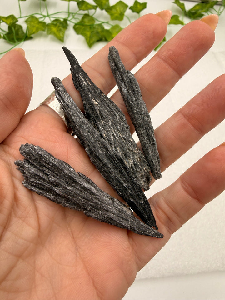 Black kyanite blades held in hand