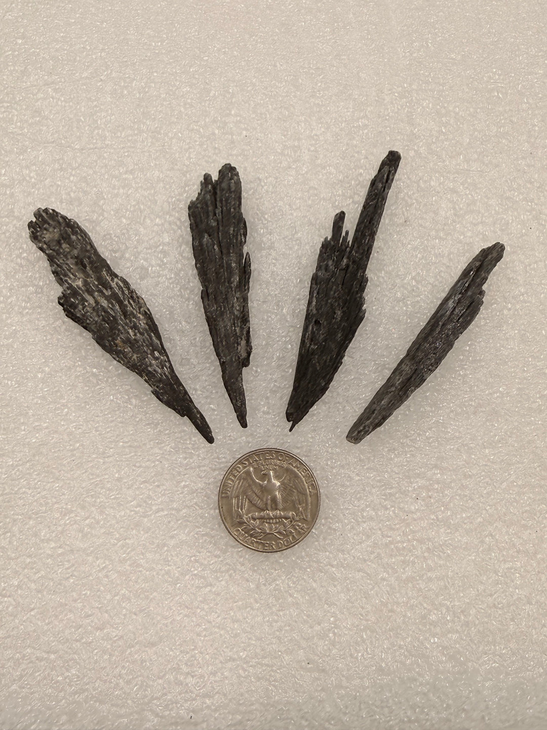 Black kyanite blades with a quarter for scale