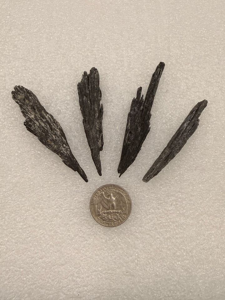 Black kyanite blades with a quarter for scale