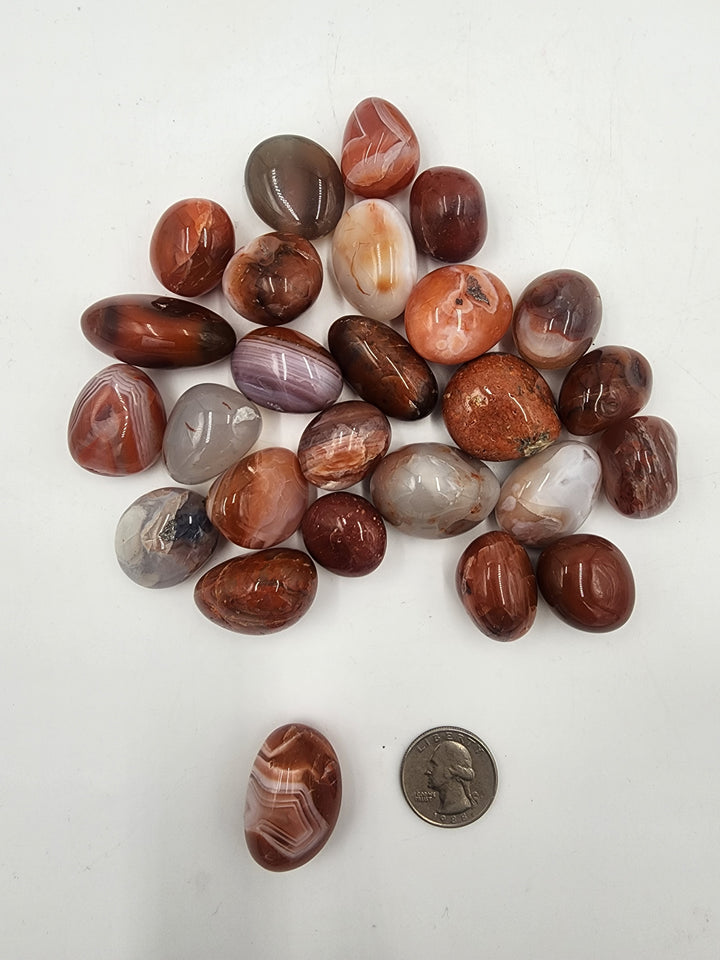 *Online Special* Carnelian Tumbled Pocket Stone