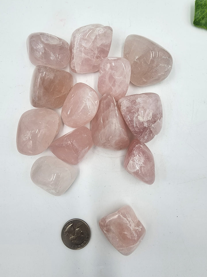 Rose Quartz Tumbled Palm Stone