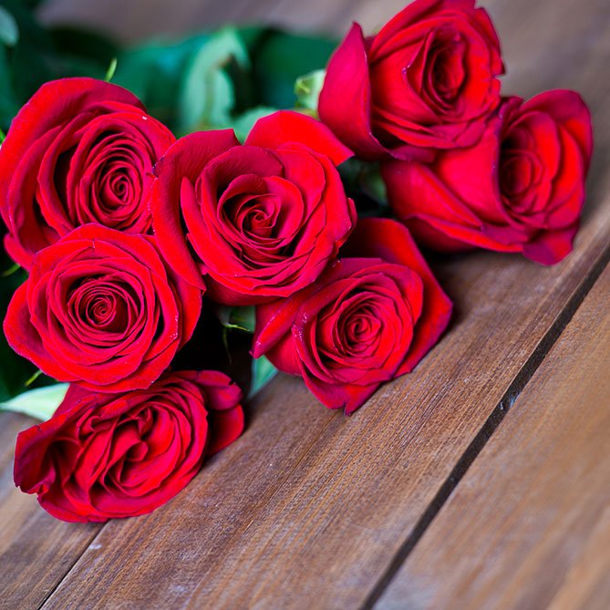 Rose Oil — Sun&