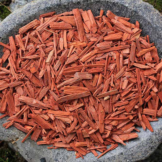 Sandalwood Oil — Sun&