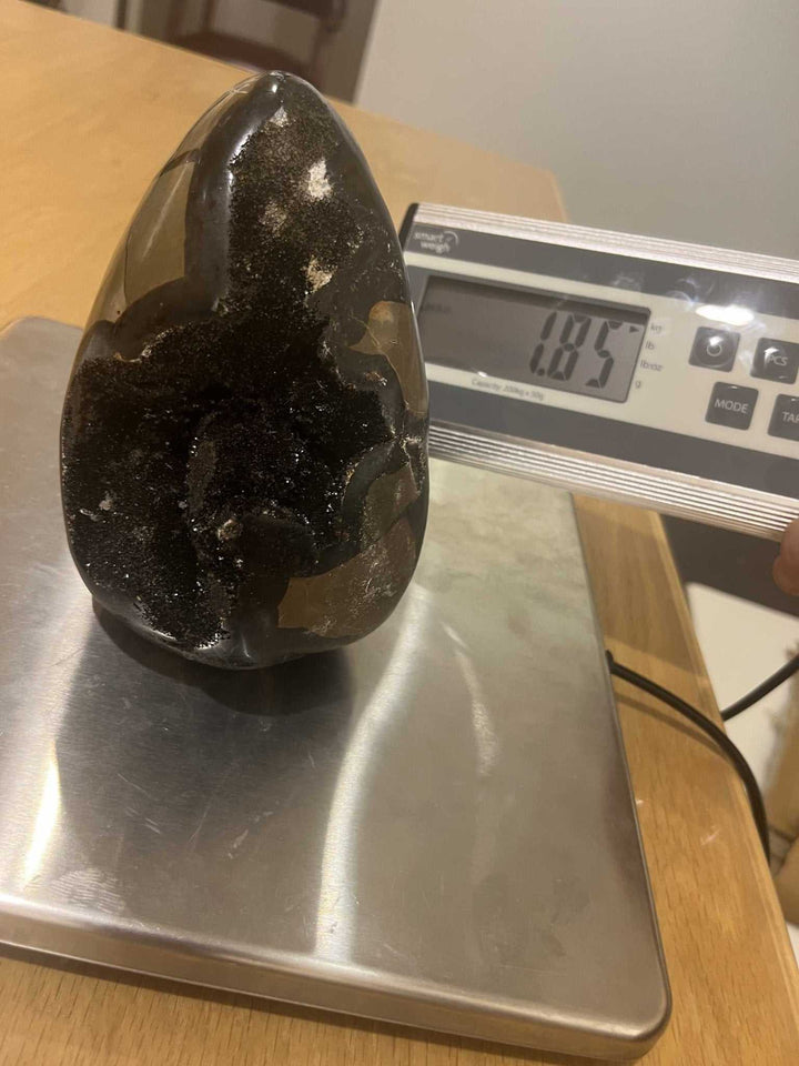 Septarian Freeform - Sacred Crystals Septarian