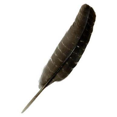 Smudge Feather - Turkey - Sacred Crystals Feathers