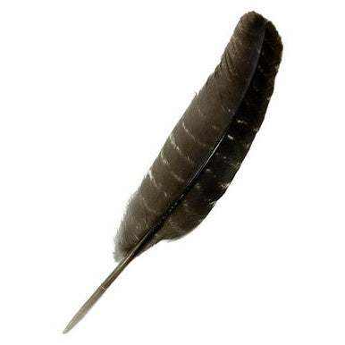 Turkey smudge feather for energy cleansing rituals.