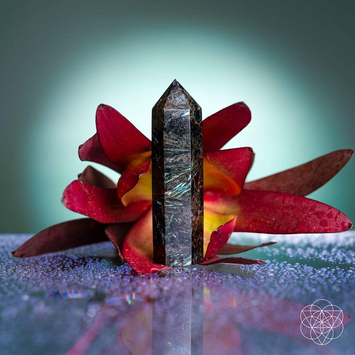 This Is Your Breakthrough – Rare Arfvedsonite Point Tower