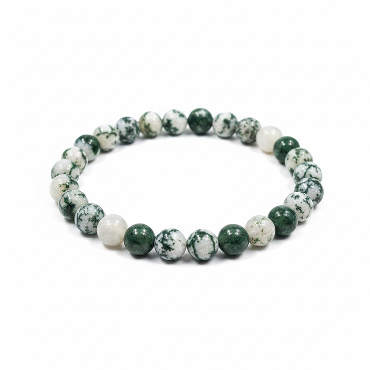 Tree Agate Hero Shot