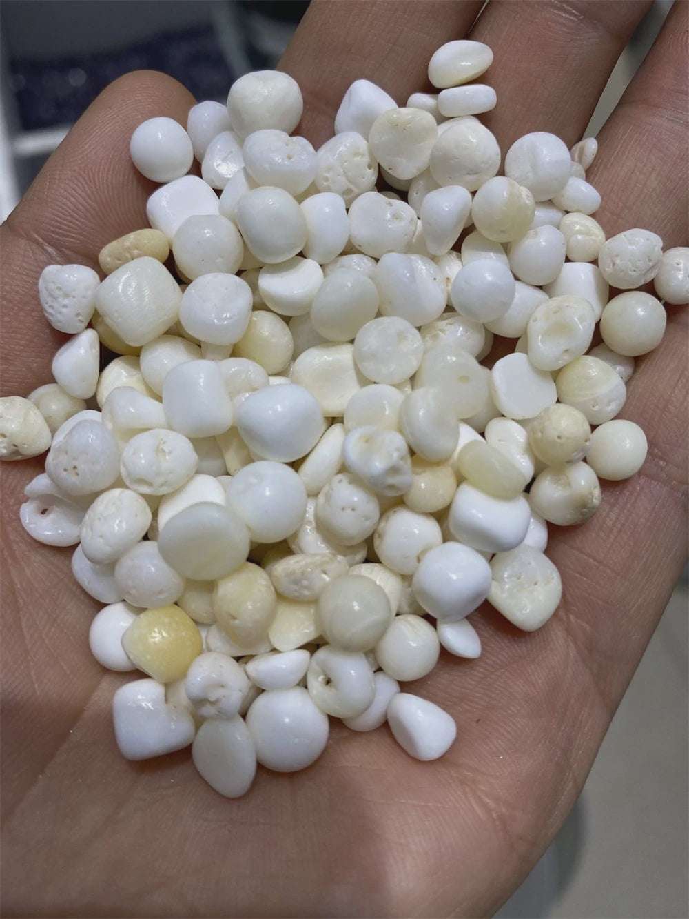 Tridacna Shell "Pearls"Tumbled StonesTridacna Shell "Pearls"