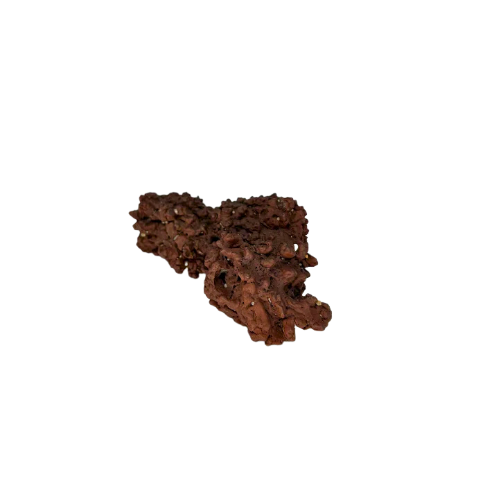 Giant Coprolite
