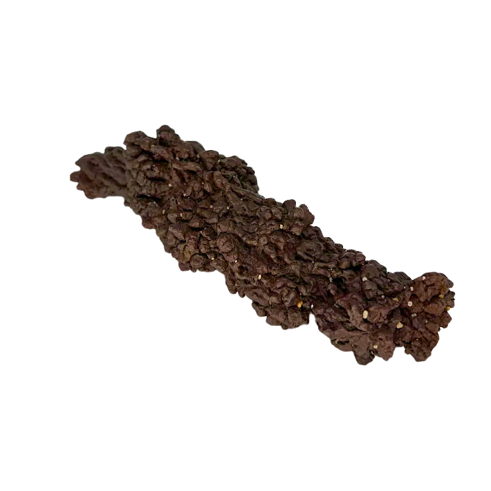 Giant Coprolite | Fossilized Dinosaur Dung Specimen