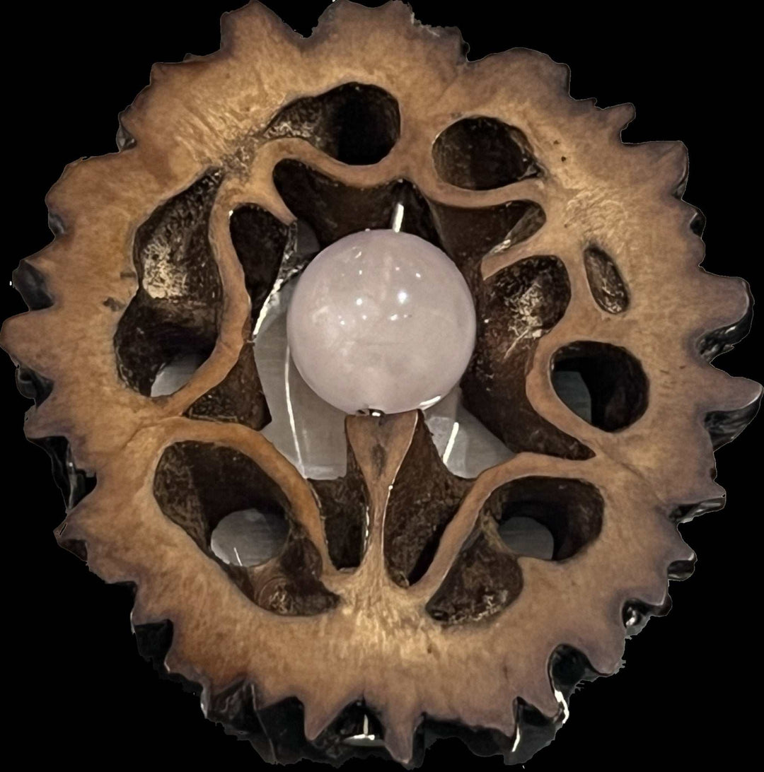 Walnut Shell with Crystal Center Amulet - Protection & GrowthPendantsCrystal Center Amulet - Protection & Growth