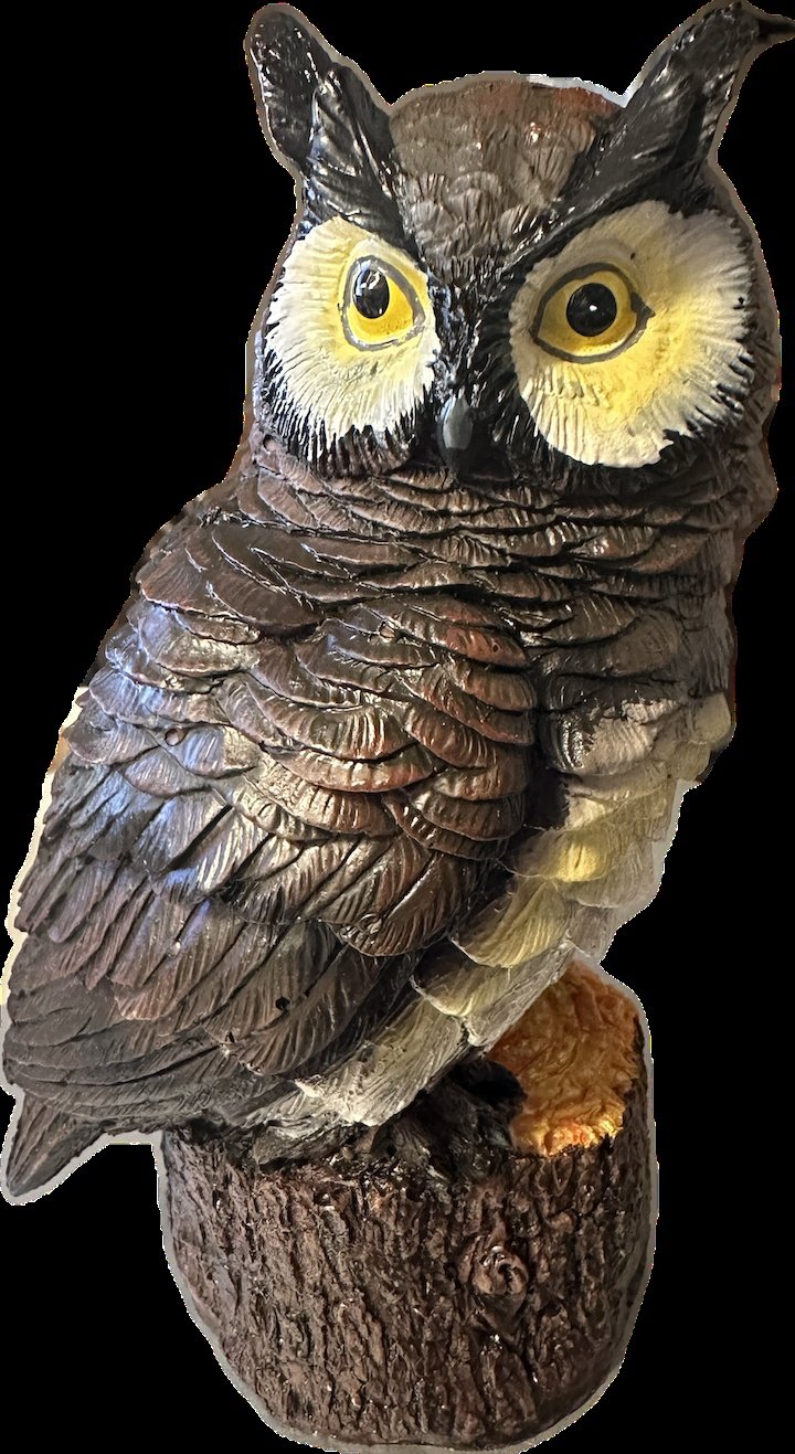 Wise Compassionate Owl on Stump 6" - Sacred Crystals Home Decor