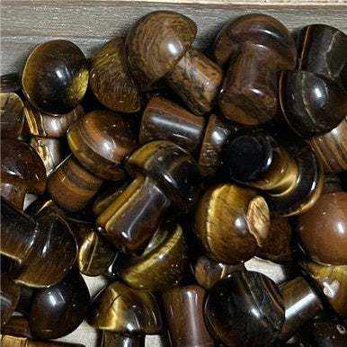Tiger Eye Mini MushroomMushroomsTiger Eye Mini Mushroom