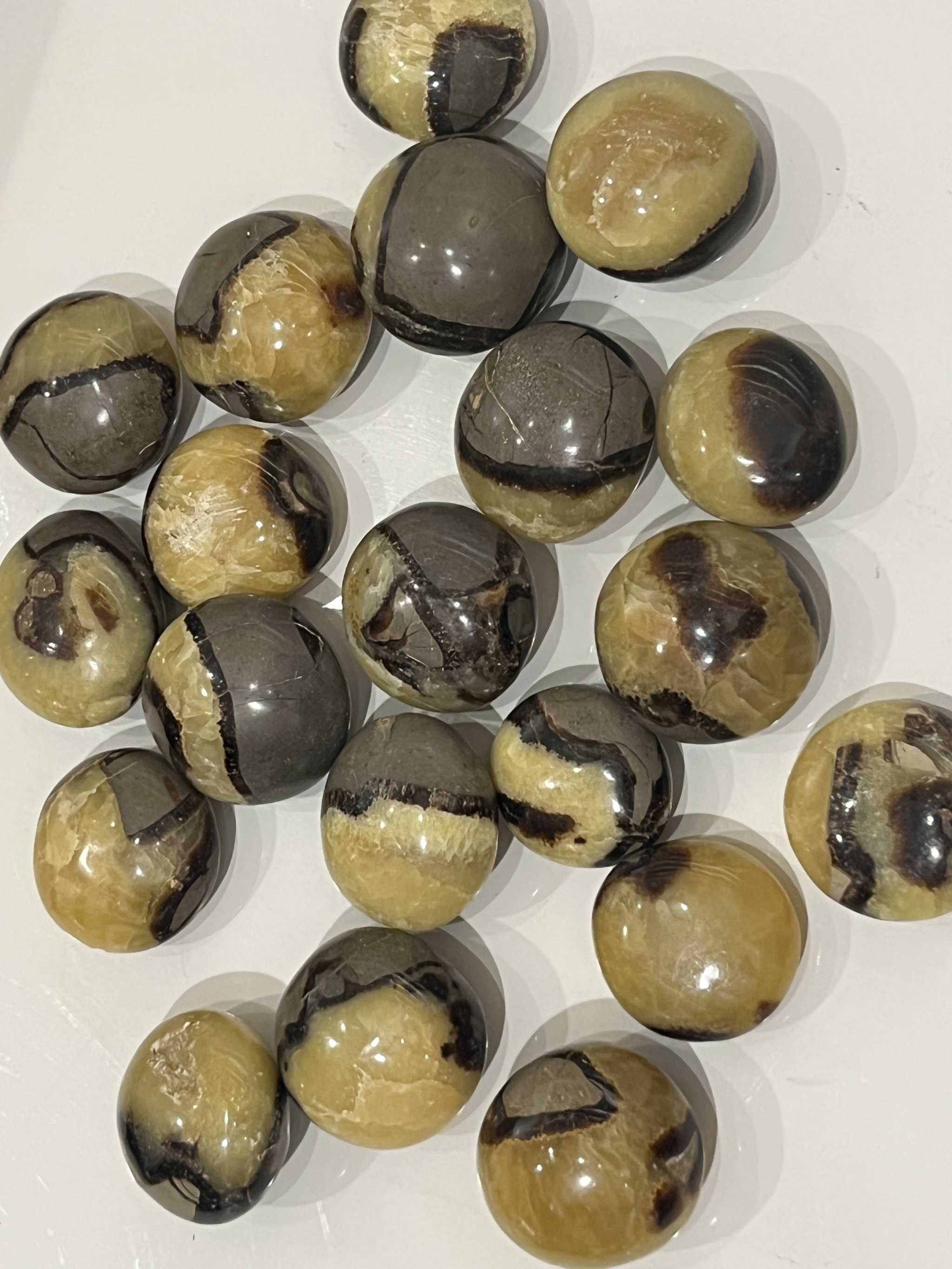 Septarian Tumbled Palm Stones